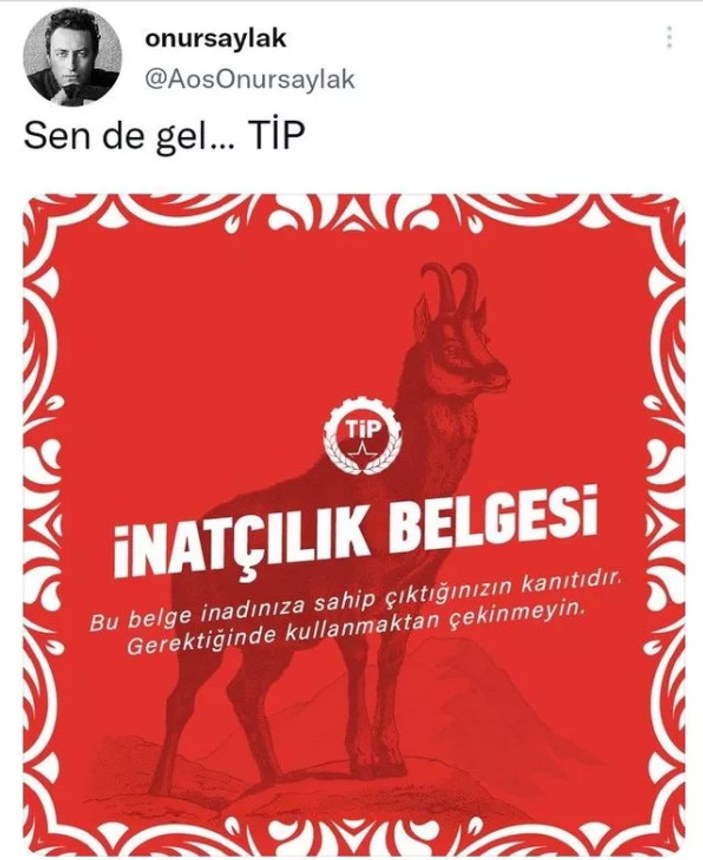 Onur Saylak Türkiye İşçi Partisi'ne üye oldu